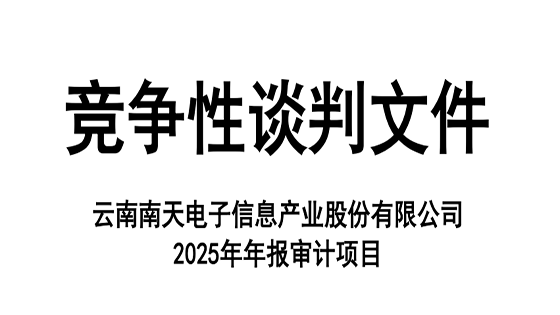 南天信息2025年年报审计竞争性谈判文件